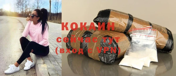 сатива Сосновоборск