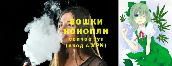 прущие грибы Сосновка