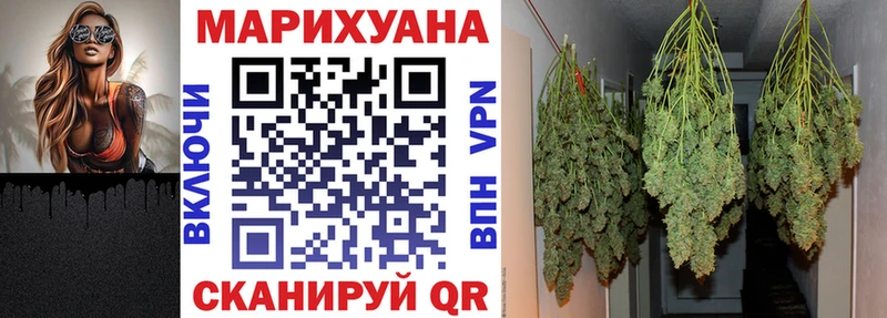 дарк нет официальный сайт  Чудово  Канабис OG Kush  что такое  